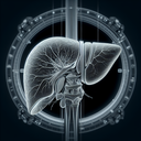 МРТ печінки